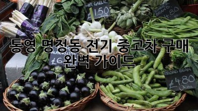 통영 명정동 전기 중고차 구매 완벽 가이드