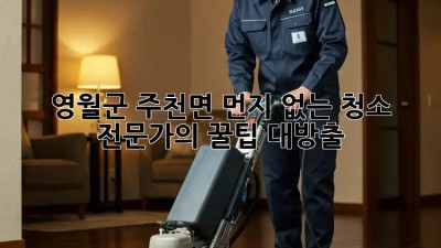 영월군 주천면🏡 먼지 없는 청소✨ 전문가의 꿀팁 대방출!